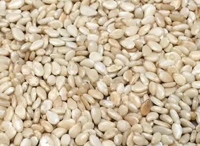 Sesame Seeds
